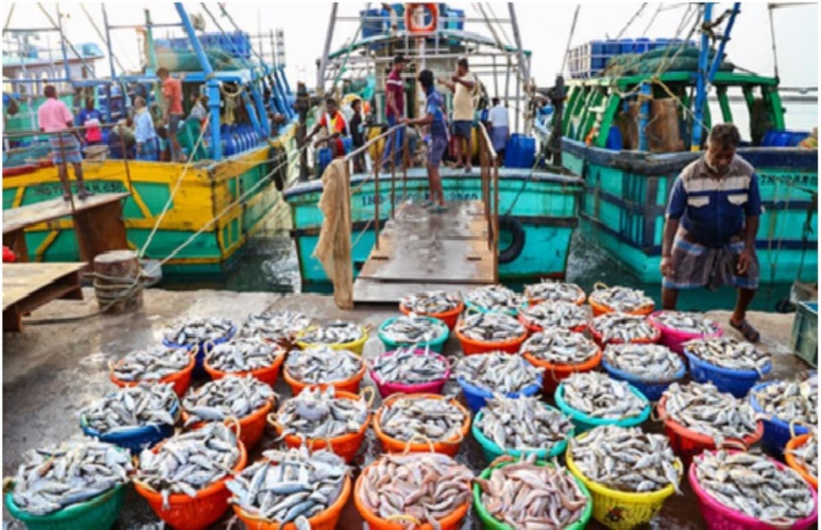 India’s seafood exports in FY 2025–26 (FY26) reached US$ 8.46 billion